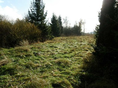 Popis: https://d18-a.sdn.szn.cz/d_18/c_img_E_C/JRdBeh.jpeg?fl=res,400,300,3%7Cshr,,20%7Cjpg,90